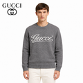 Exclusive Gucci logo Sweater — S — Front View
